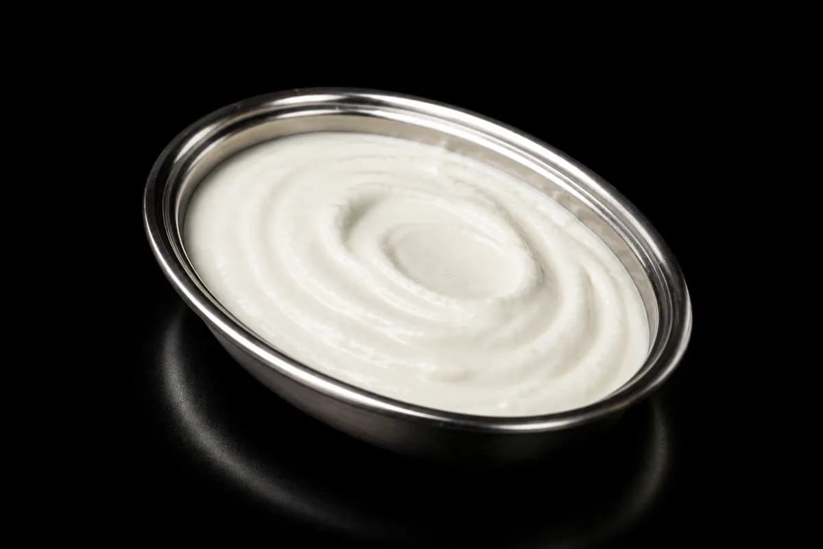 Plain Dahi