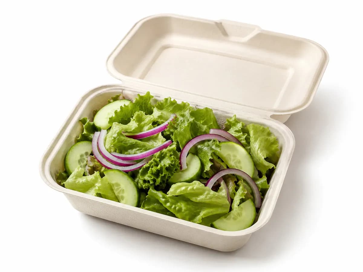 Salad Box